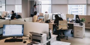 people inside office