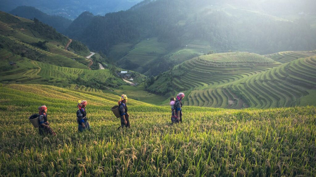 People on Rice Terraces