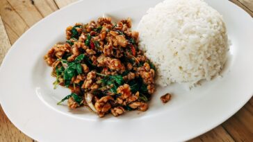 Stir Fried Thai Basil with Minced Pork and Rice on Oval Ceramic Plate