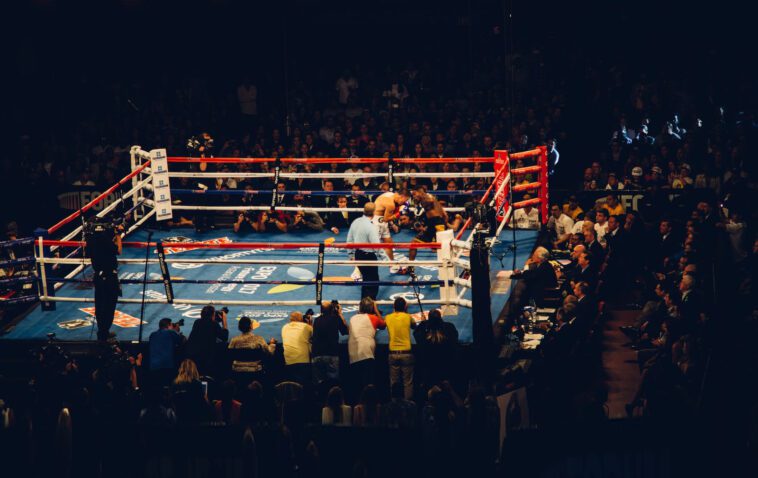 people watching boxing