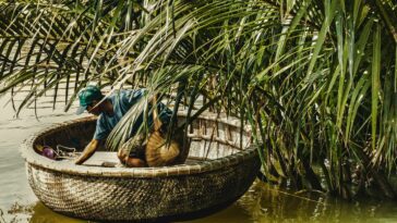 man in brown wicker basket