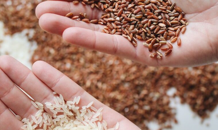 Close-Up Photo Of Rice On Person's Hand