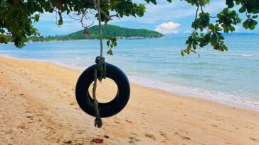 a swing on a beach
